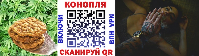 Печенье с ТГК конопля  mega зеркало  Павловский Посад 